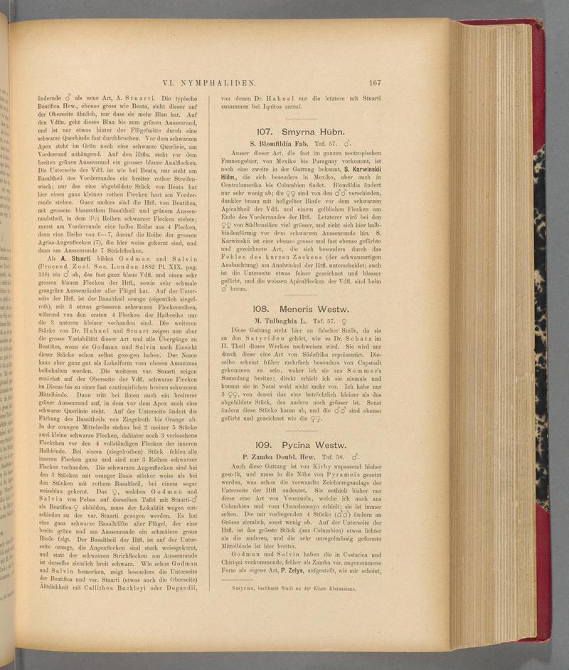 Exotische schmetterlinge (Page 167) BHL40070522
