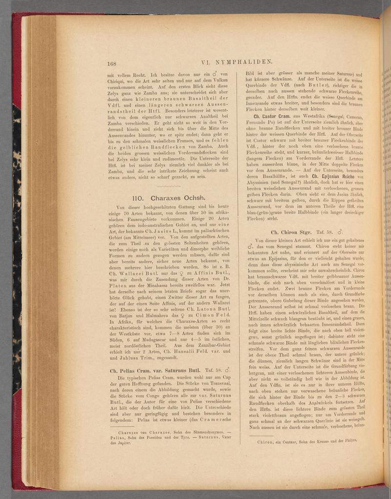 Exotische schmetterlinge (Page 168) BHL40070523