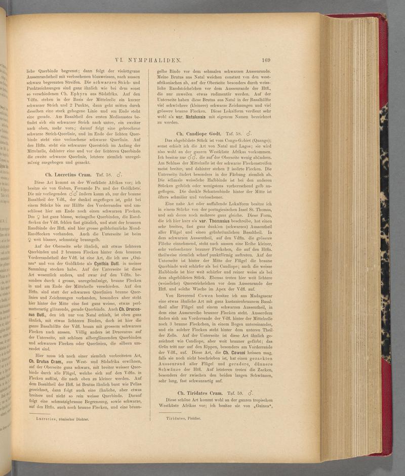 Exotische schmetterlinge (Page 169) BHL40070524