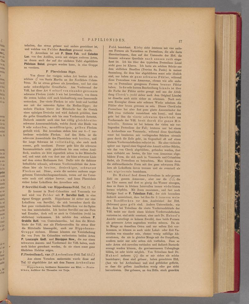 Exotische schmetterlinge (Page 17) BHL40070372