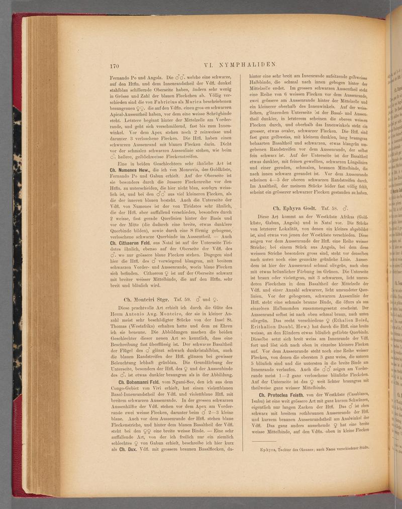 Exotische schmetterlinge (Page 170) BHL40070525