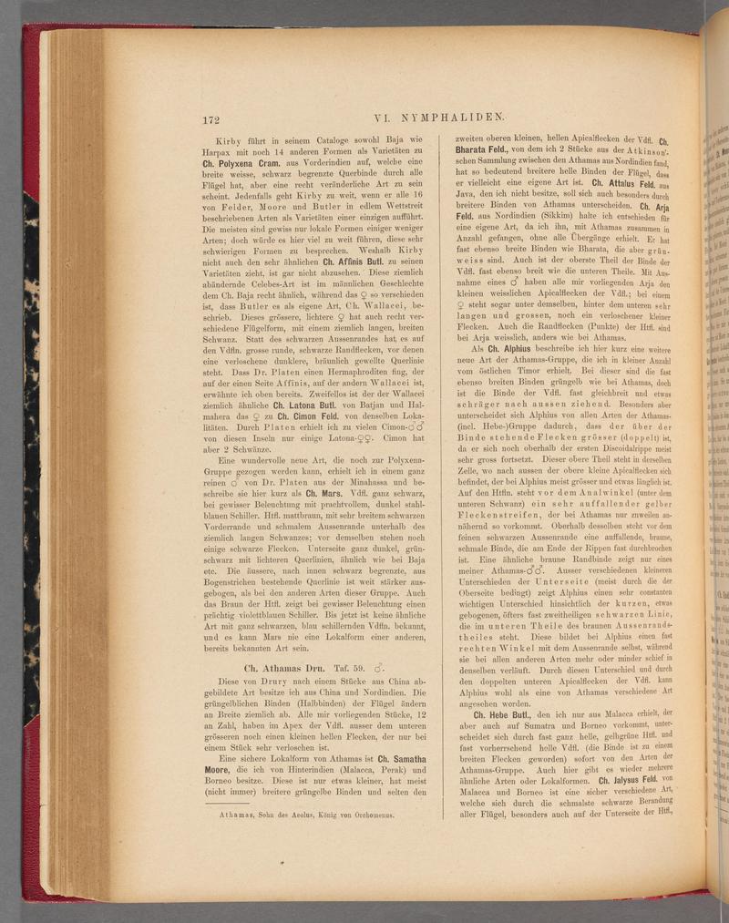 Exotische schmetterlinge (Page 172) BHL40070527