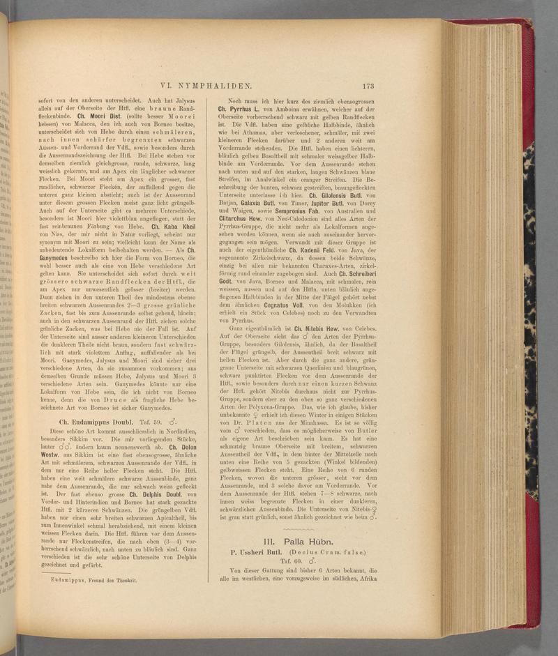 Exotische schmetterlinge (Page 173) BHL40070528