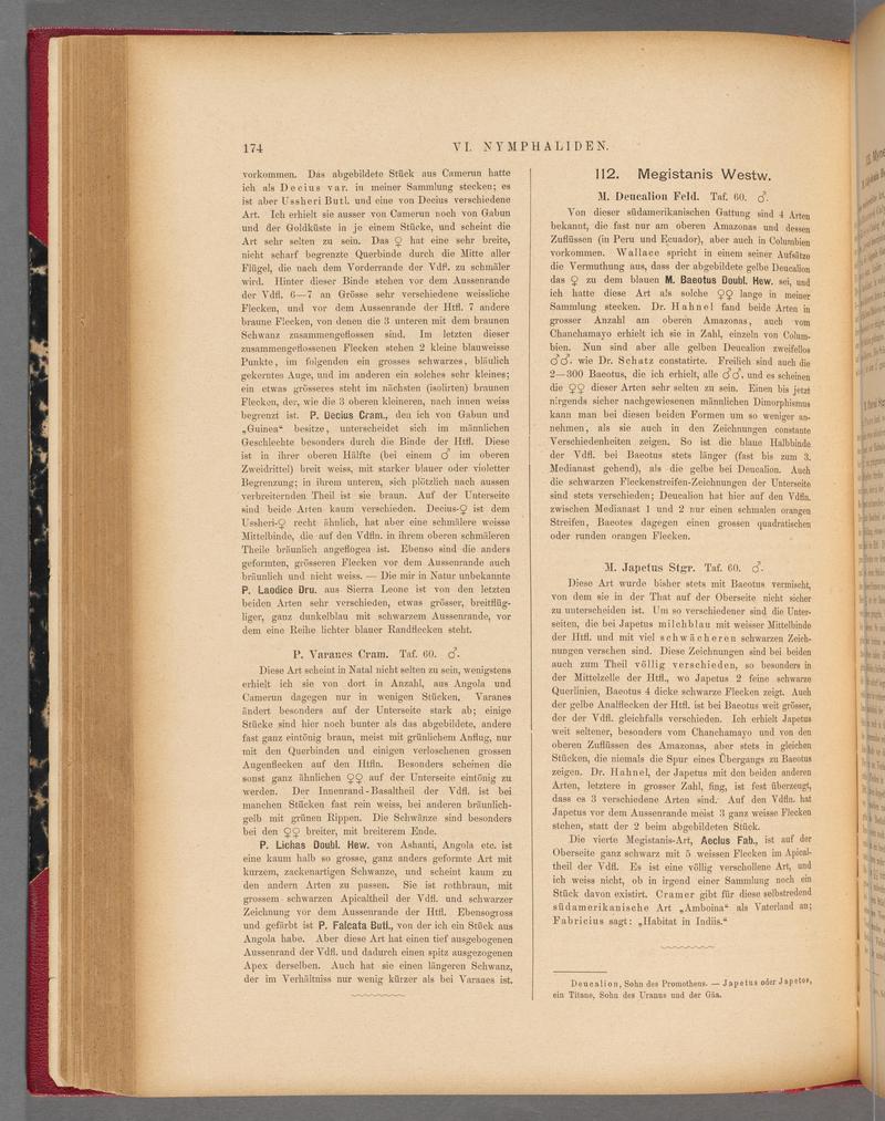 Exotische schmetterlinge (Page 174) BHL40070529