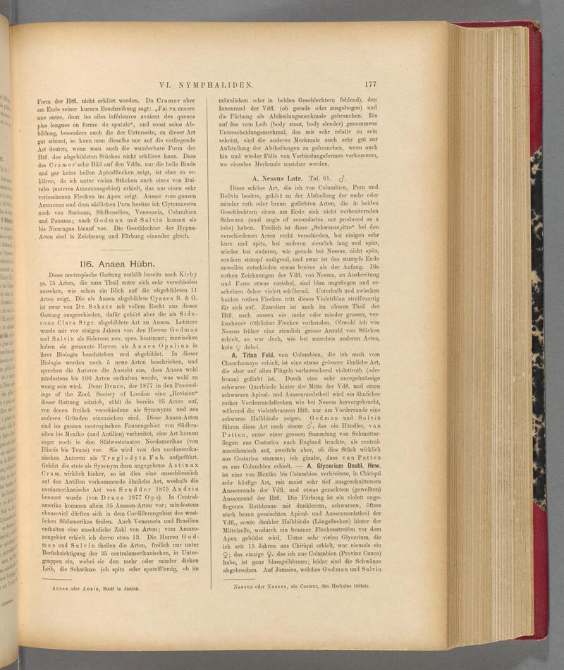 Exotische schmetterlinge (Page 177) BHL40070532