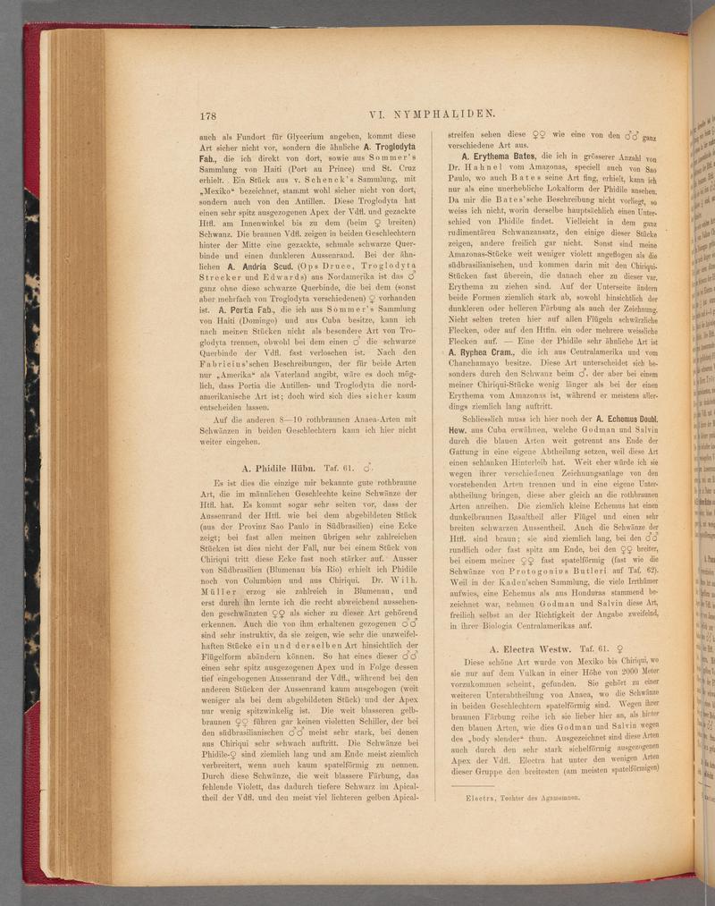 Exotische schmetterlinge (Page 178) BHL40070533