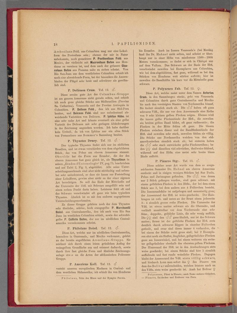 Exotische schmetterlinge (Page 18) BHL40070373