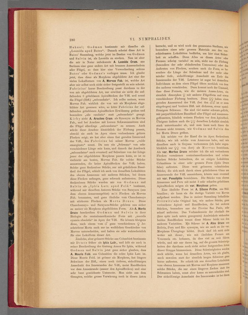 Exotische schmetterlinge (Page 180) BHL40070535