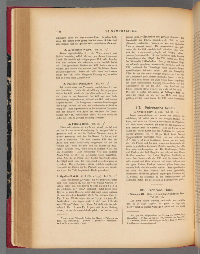 Exotische schmetterlinge (Page 182) BHL40070537