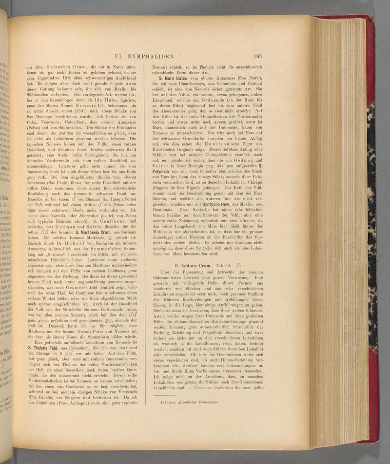 Exotische schmetterlinge (Page 183) BHL40070538