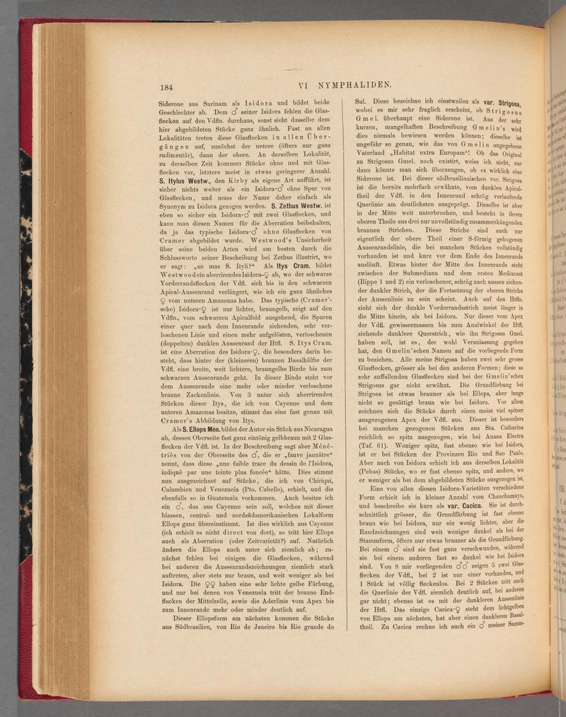 Exotische schmetterlinge (Page 184) BHL40070539