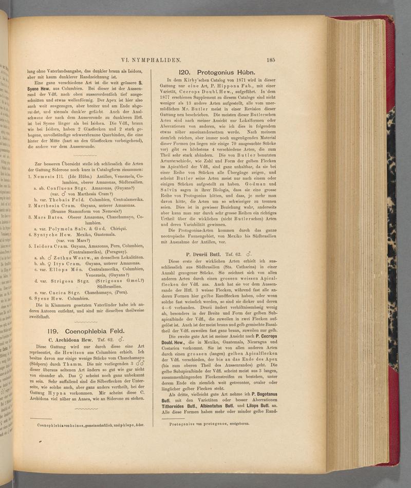 Exotische schmetterlinge (Page 185) BHL40070540