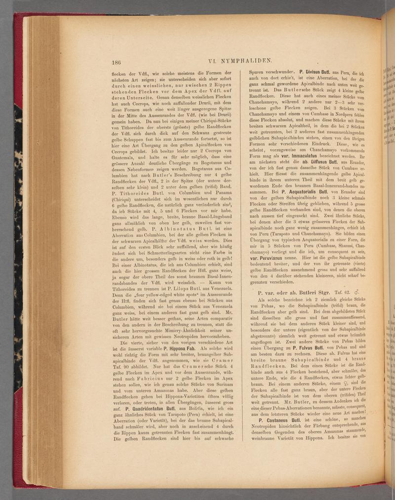 Exotische schmetterlinge (Page 186) BHL40070541
