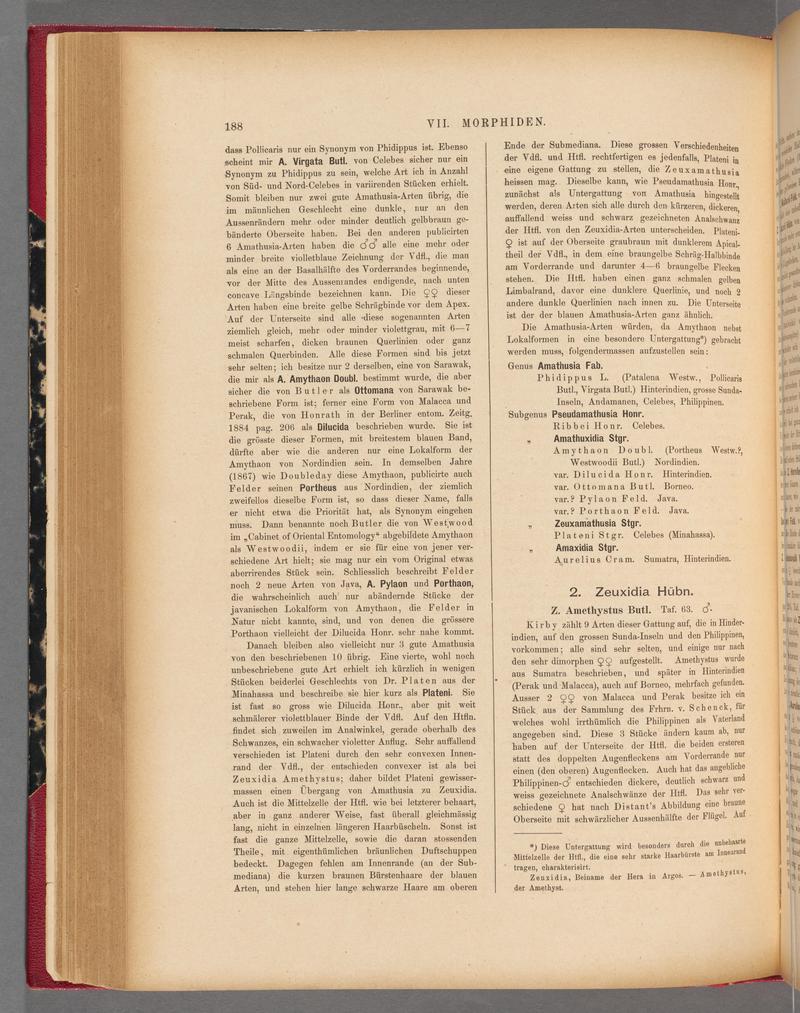 Exotische schmetterlinge (Page 188) BHL40070543