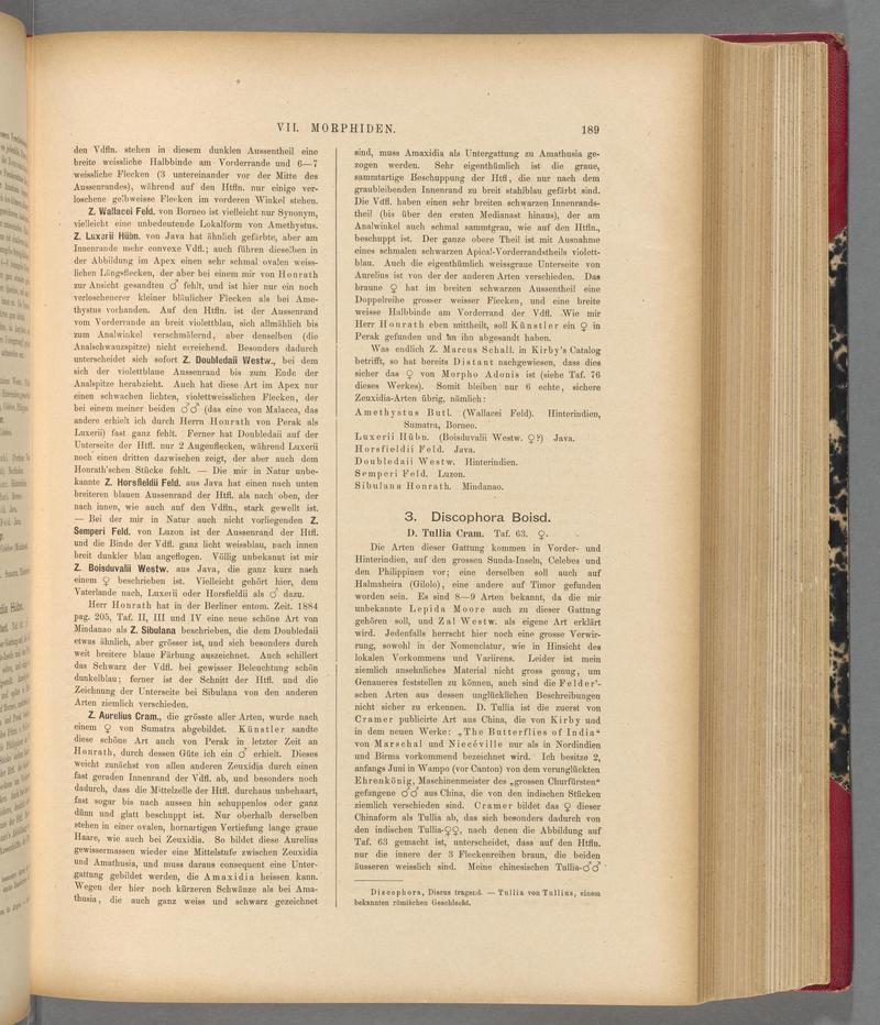 Exotische schmetterlinge (Page 189) BHL40070544