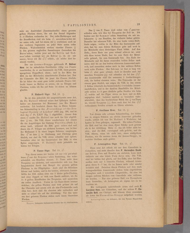 Exotische schmetterlinge (Page 19) BHL40070374