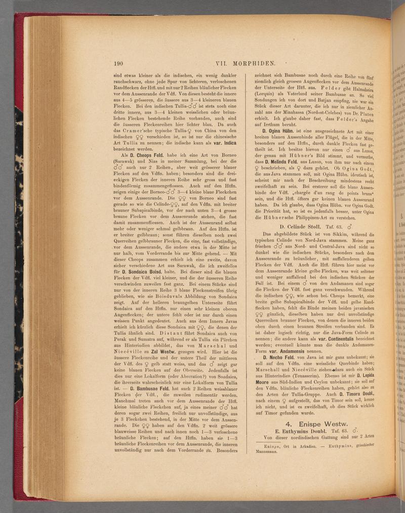 Exotische schmetterlinge (Page 190) BHL40070545