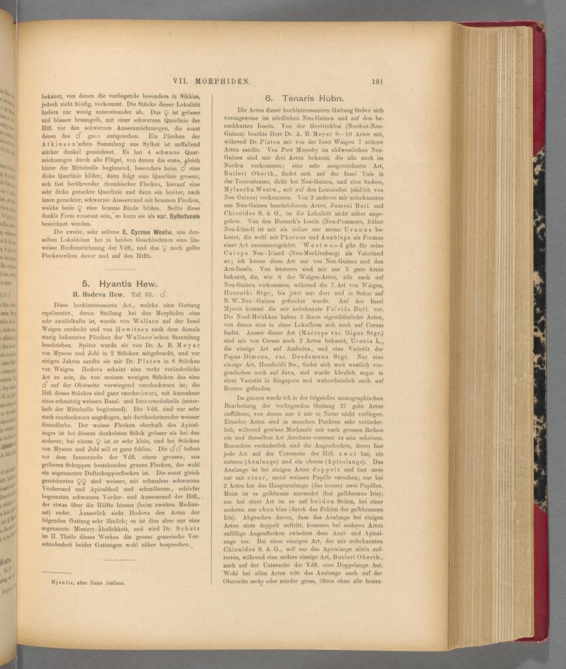 Exotische schmetterlinge (Page 191) BHL40070546