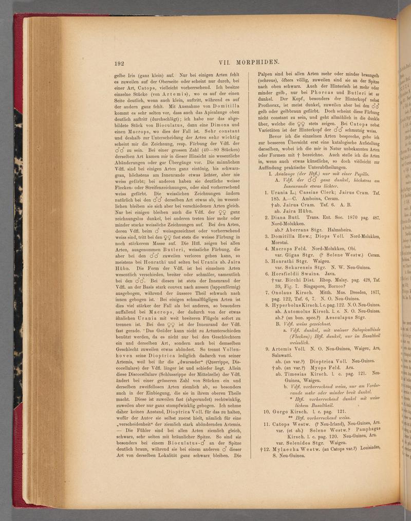 Exotische schmetterlinge (Page 192) BHL40070547
