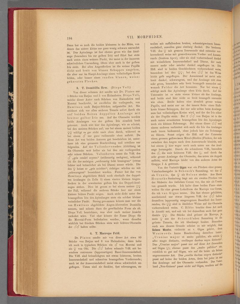 Exotische schmetterlinge (Page 194) BHL40070549