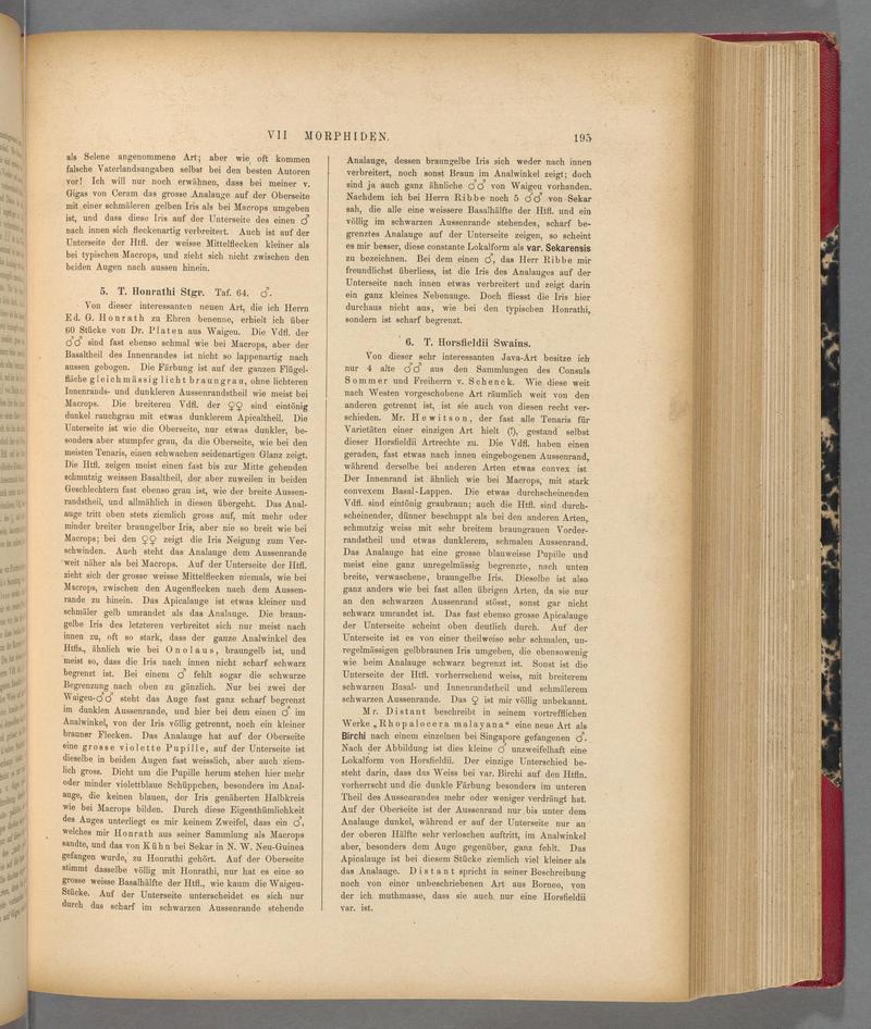 Exotische schmetterlinge (Page 195) BHL40070550