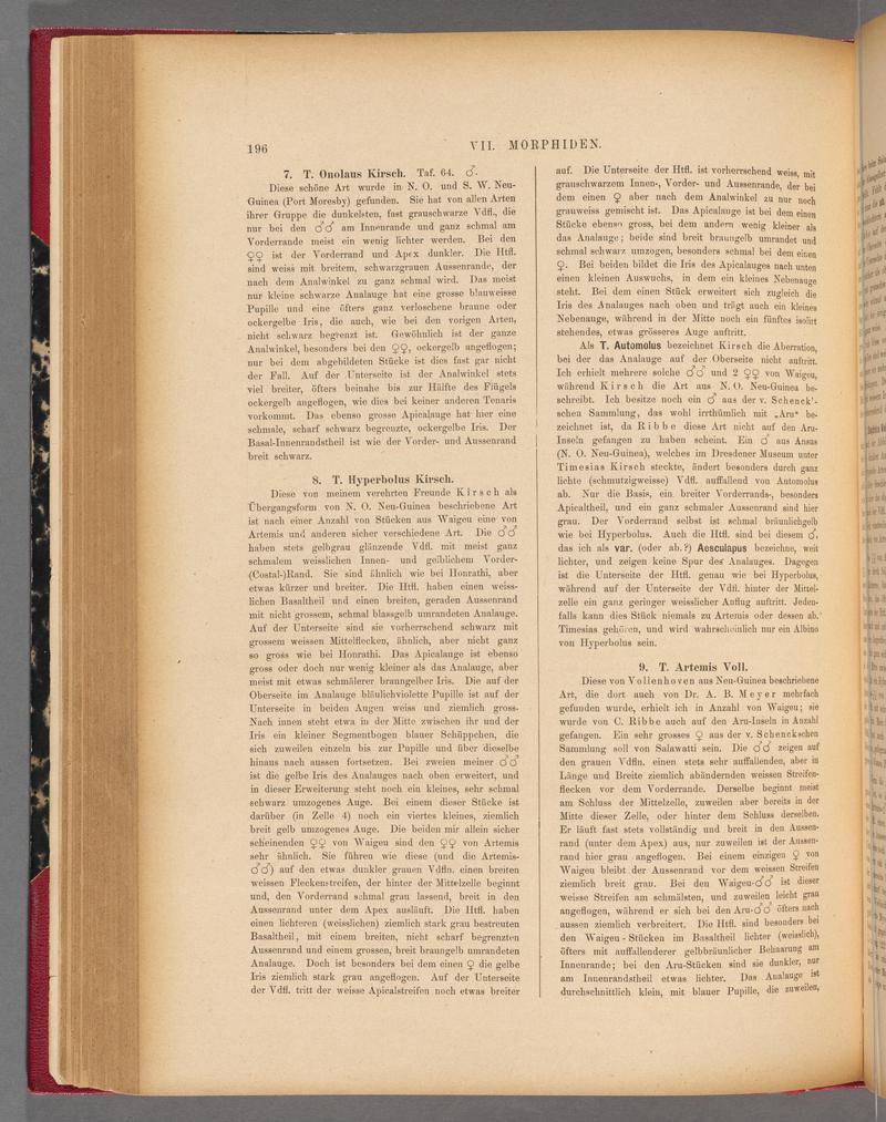 Exotische schmetterlinge (Page 196) BHL40070551