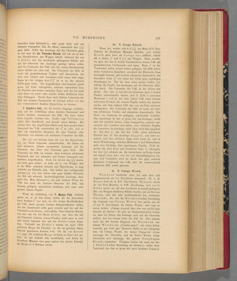 Exotische schmetterlinge (Page 197) BHL40070552