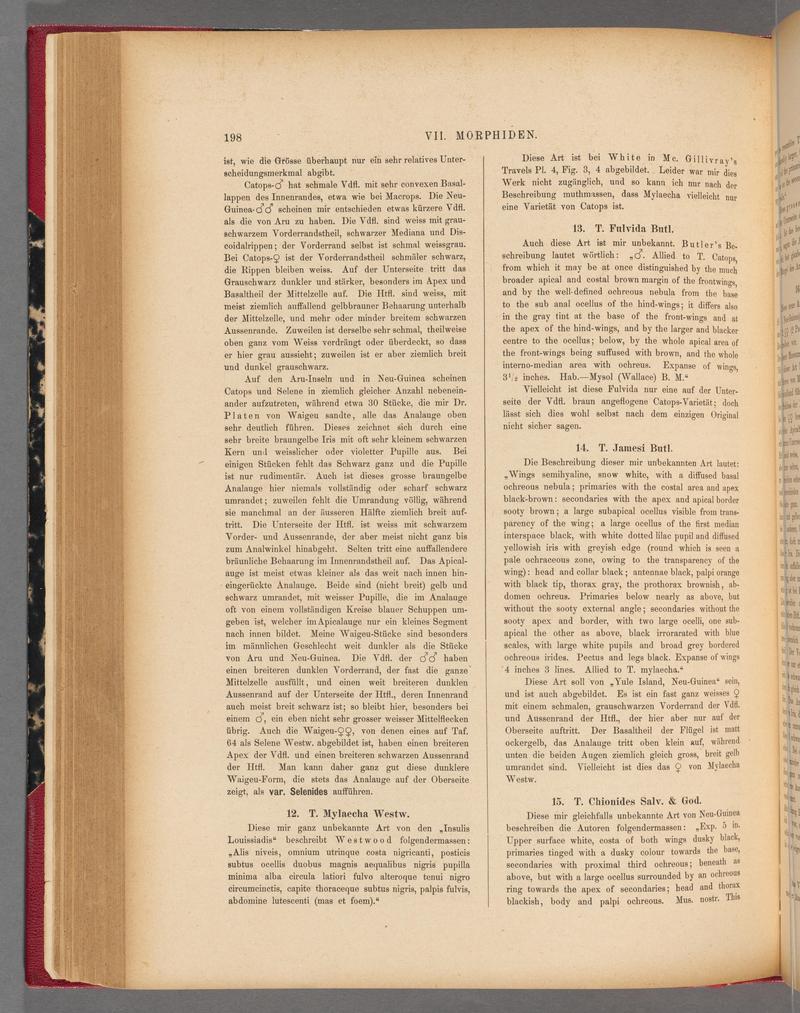 Exotische schmetterlinge (Page 198) BHL40070553
