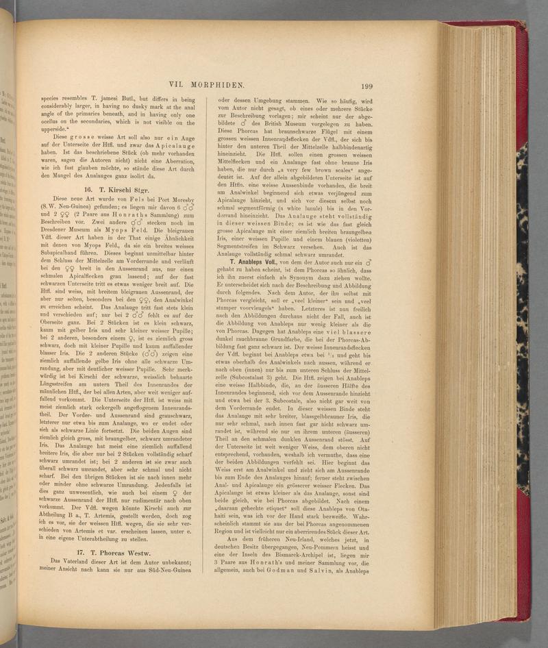 Exotische schmetterlinge (Page 199) BHL40070554