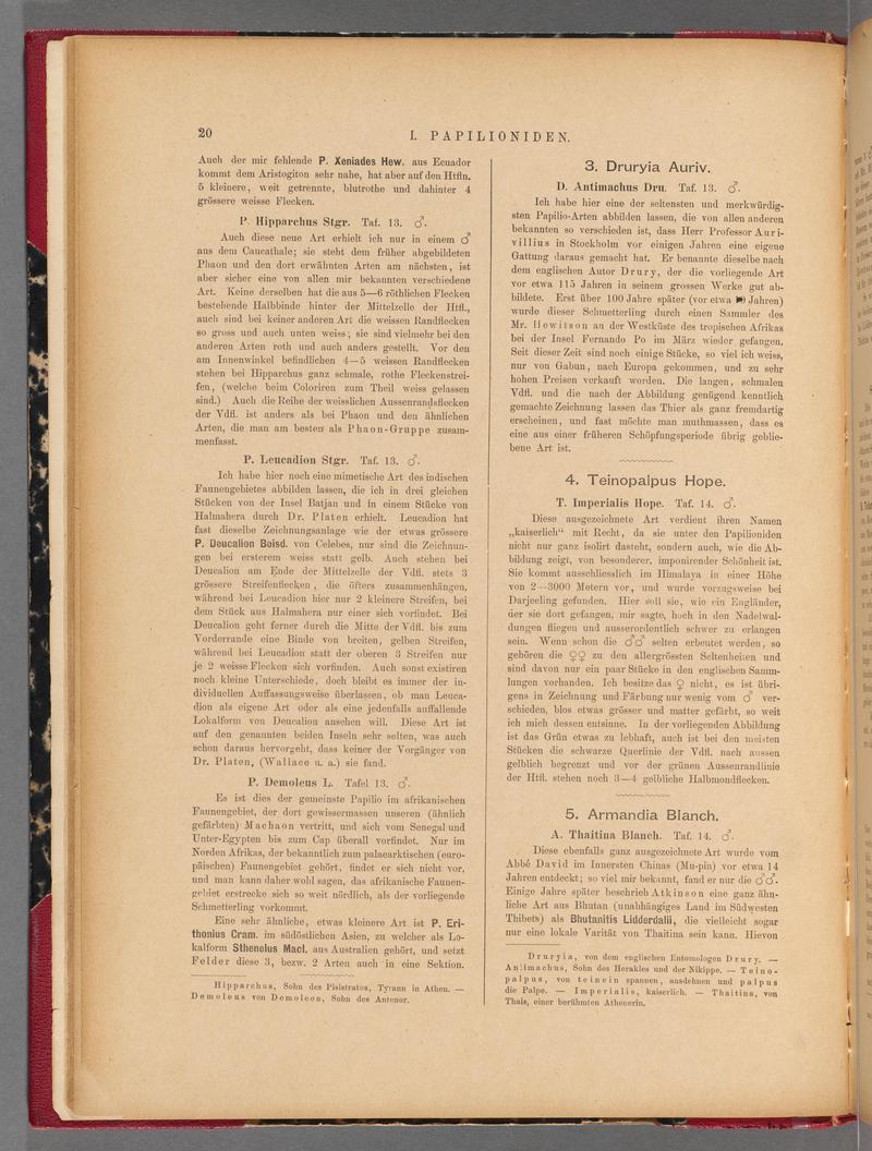 Exotische schmetterlinge (Page 20) BHL40070375