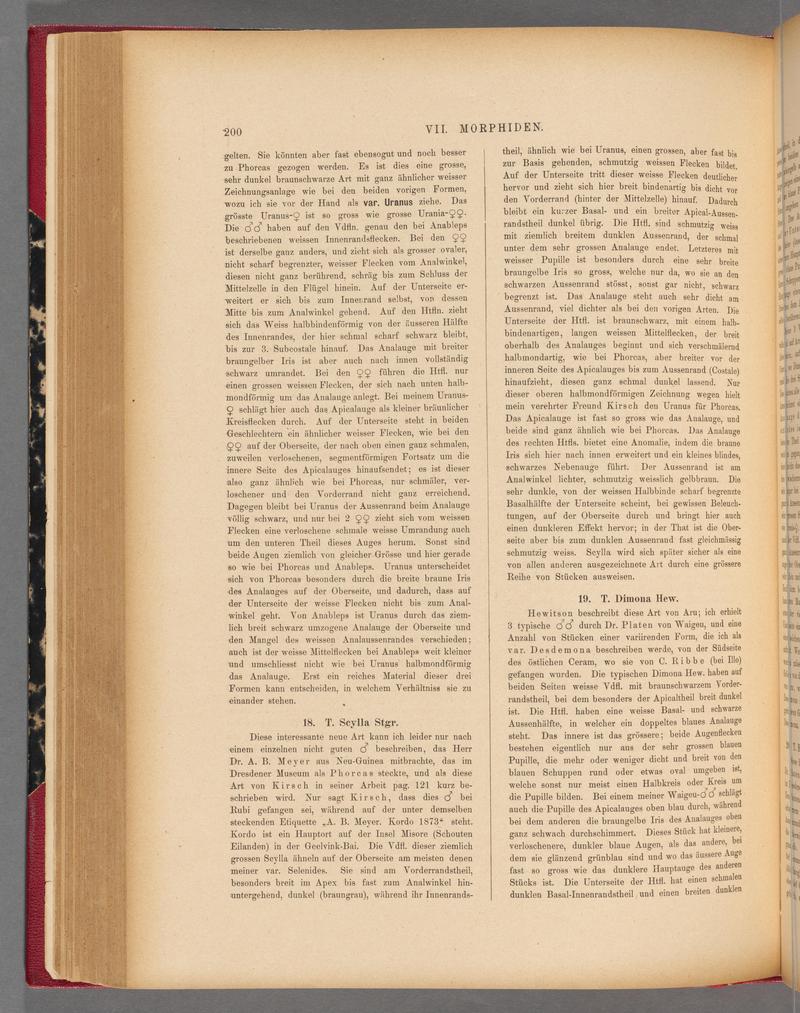 Exotische schmetterlinge (Page 200) BHL40070555