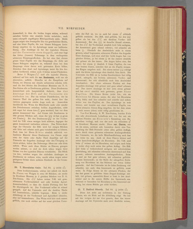 Exotische schmetterlinge (Page 201) BHL40070556