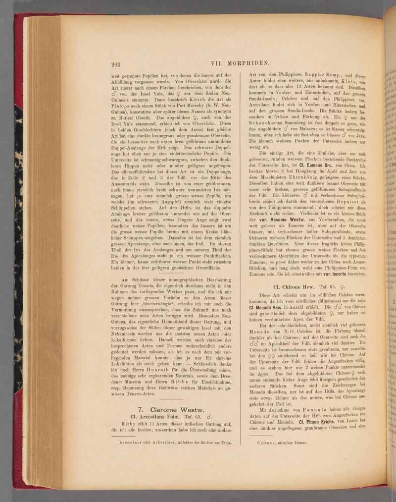 Exotische schmetterlinge (Page 202) BHL40070557