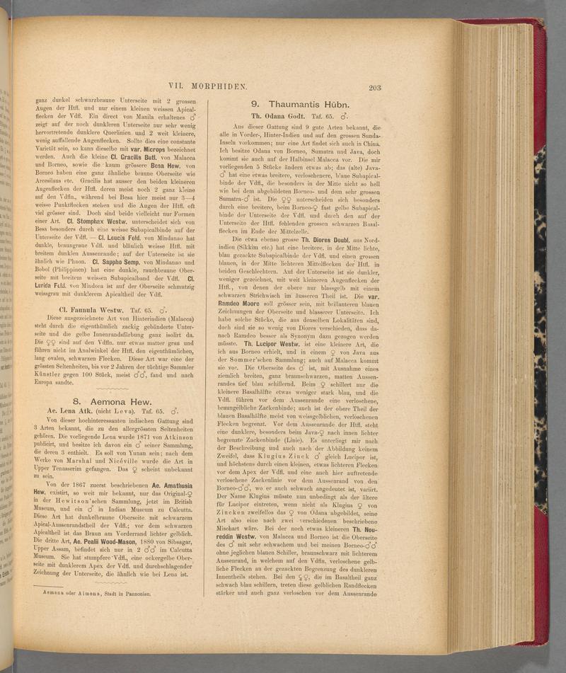 Exotische schmetterlinge (Page 203) BHL40070558