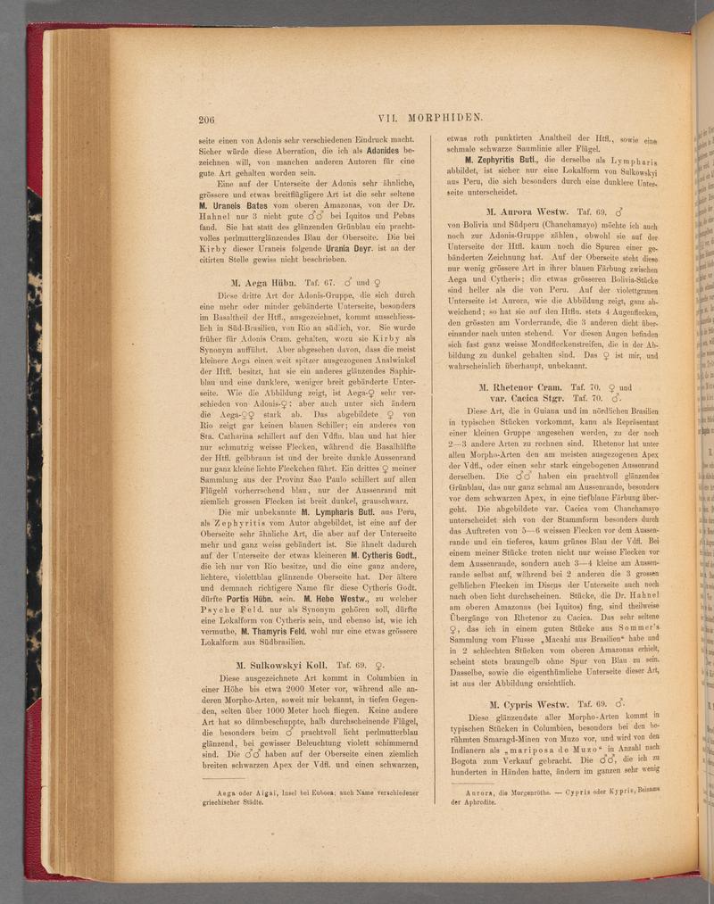 Exotische schmetterlinge (Page 206) BHL40070561