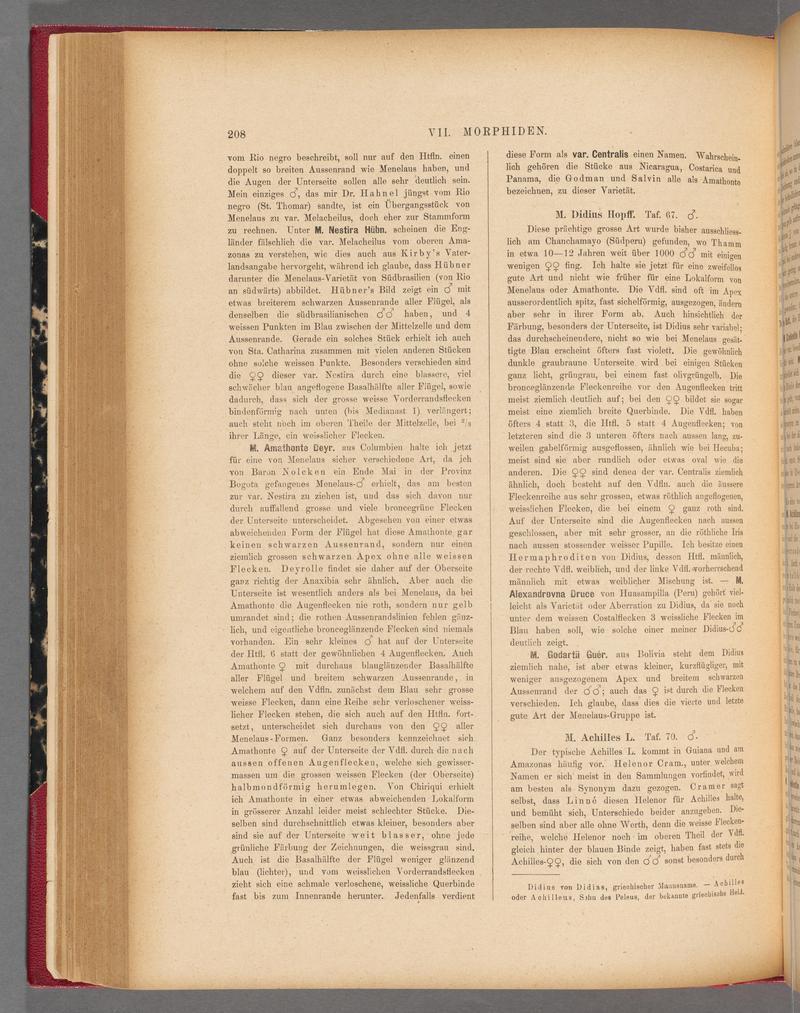 Exotische schmetterlinge (Page 208) BHL40070563