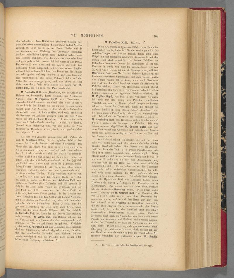 Exotische schmetterlinge (Page 209) BHL40070564