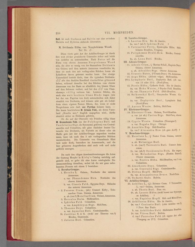 Exotische schmetterlinge (Page 210) BHL40070565
