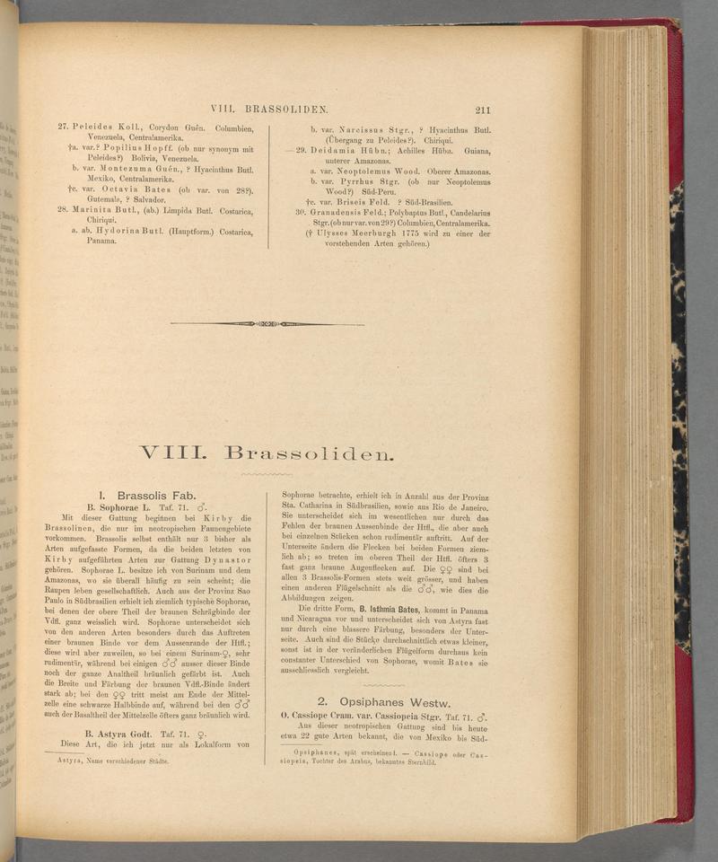 Exotische schmetterlinge (Page 211) BHL40070566