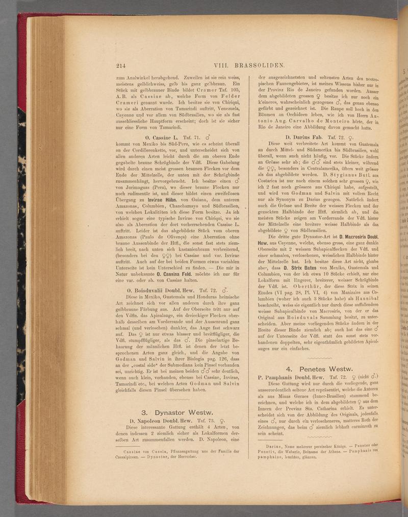Exotische schmetterlinge (Page 214) BHL40070569