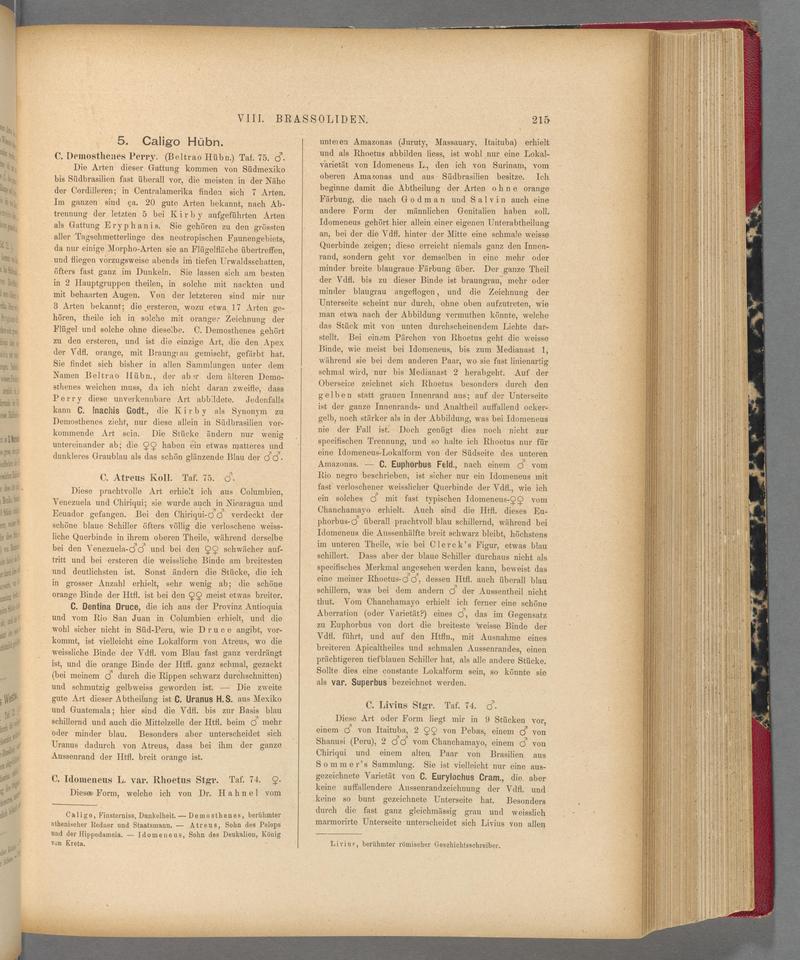 Exotische schmetterlinge (Page 215) BHL40070570