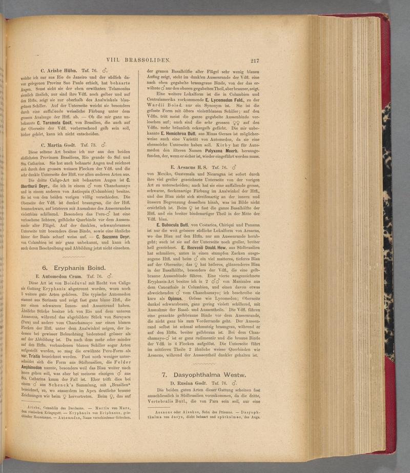 Exotische schmetterlinge (Page 217) BHL40070572
