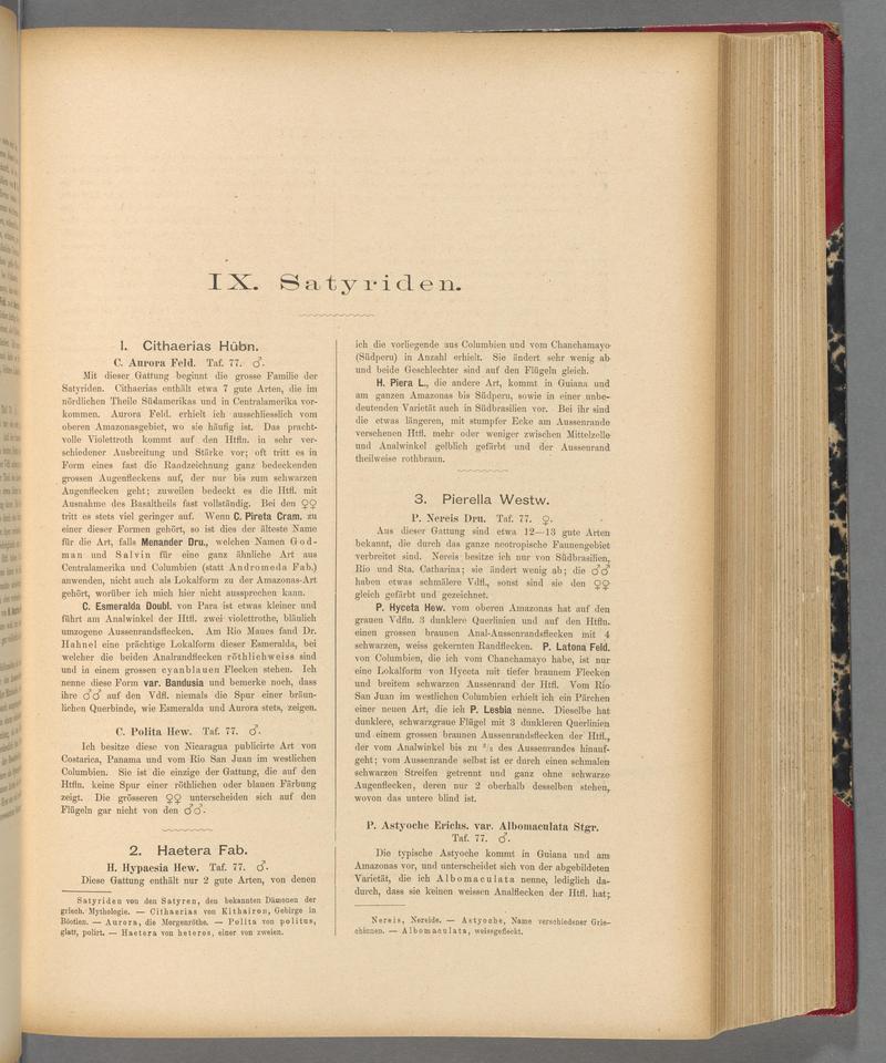 Exotische schmetterlinge (Page 219) BHL40070574