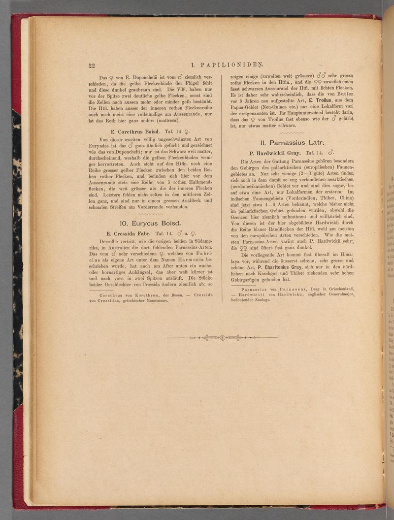 Exotische schmetterlinge (Page 22) BHL40070377