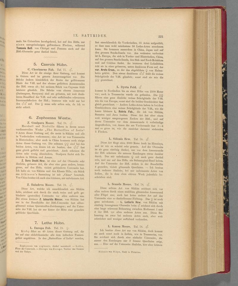 Exotische schmetterlinge (Page 221) BHL40070576