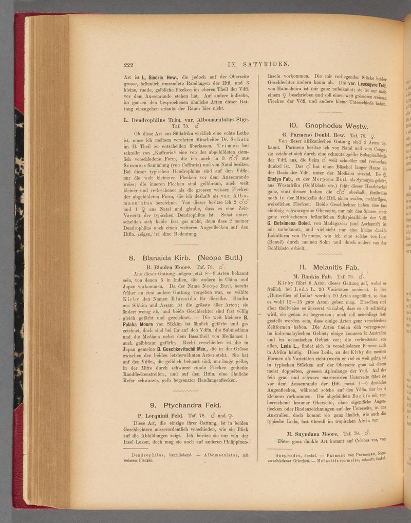 Exotische schmetterlinge (Page 222) BHL40070577