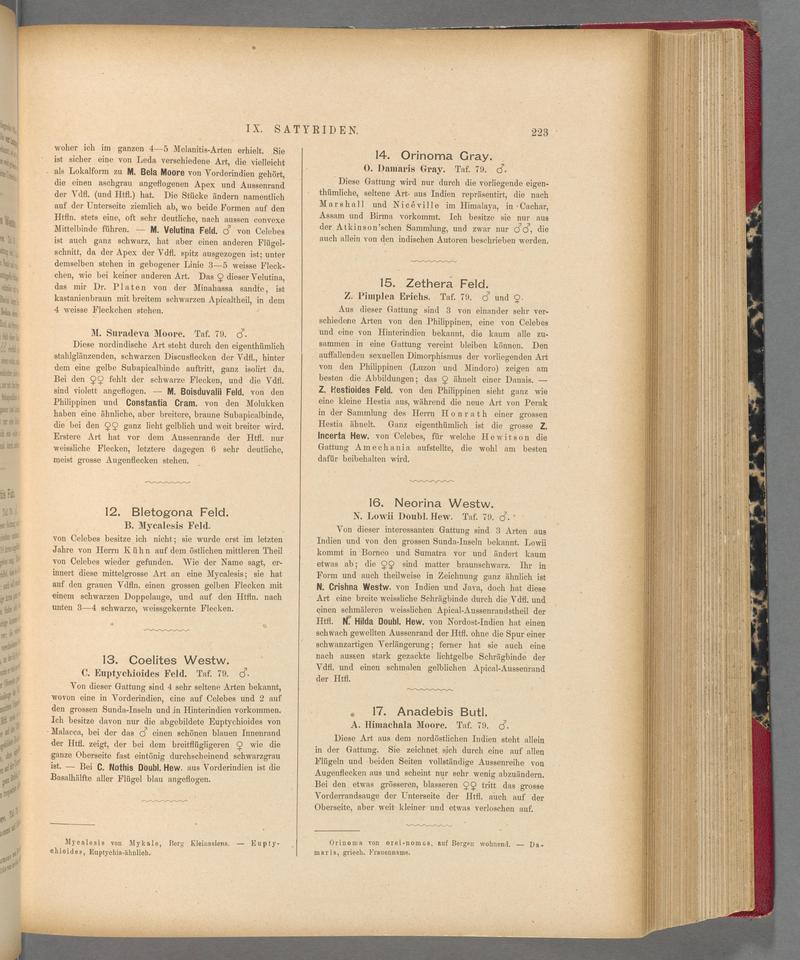 Exotische schmetterlinge (Page 223) BHL40070578