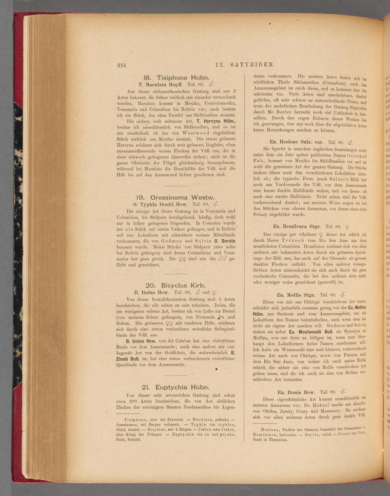 Exotische schmetterlinge (Page 224) BHL40070579