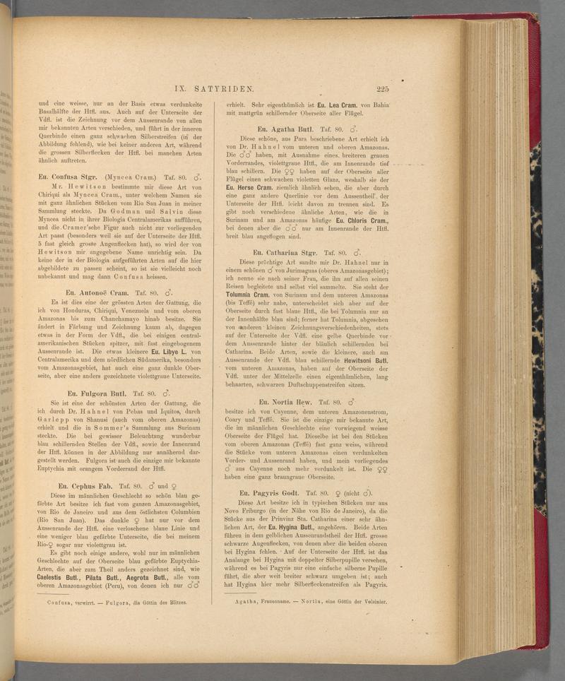 Exotische schmetterlinge (Page 225) BHL40070580