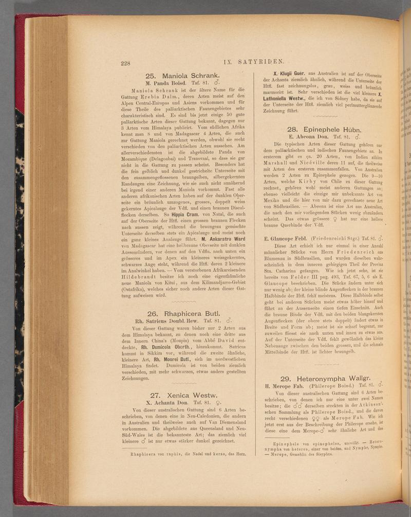 Exotische schmetterlinge (Page 228) BHL40070583